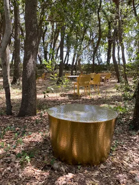 Il Bosco dei Riti & Glamping
