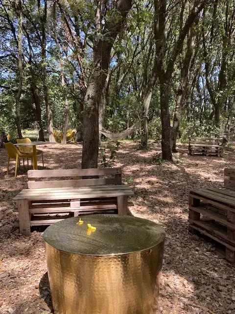 Il Bosco dei Riti & Glamping