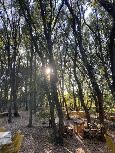 Il Bosco dei Riti & Glamping