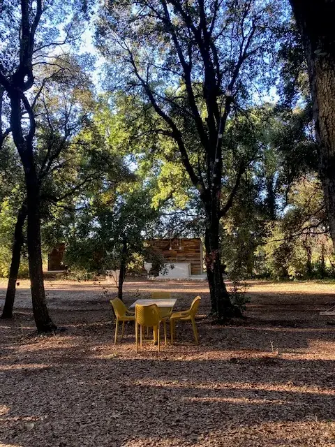 Il Bosco dei Riti & Glamping