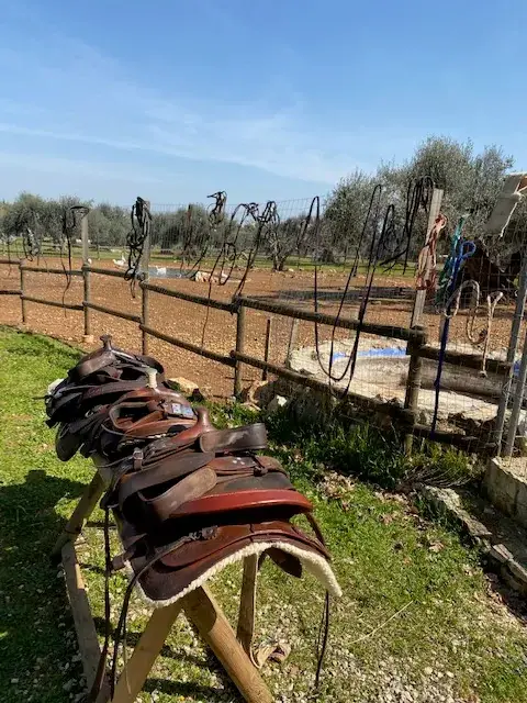 La Campagna, Orto & Animali