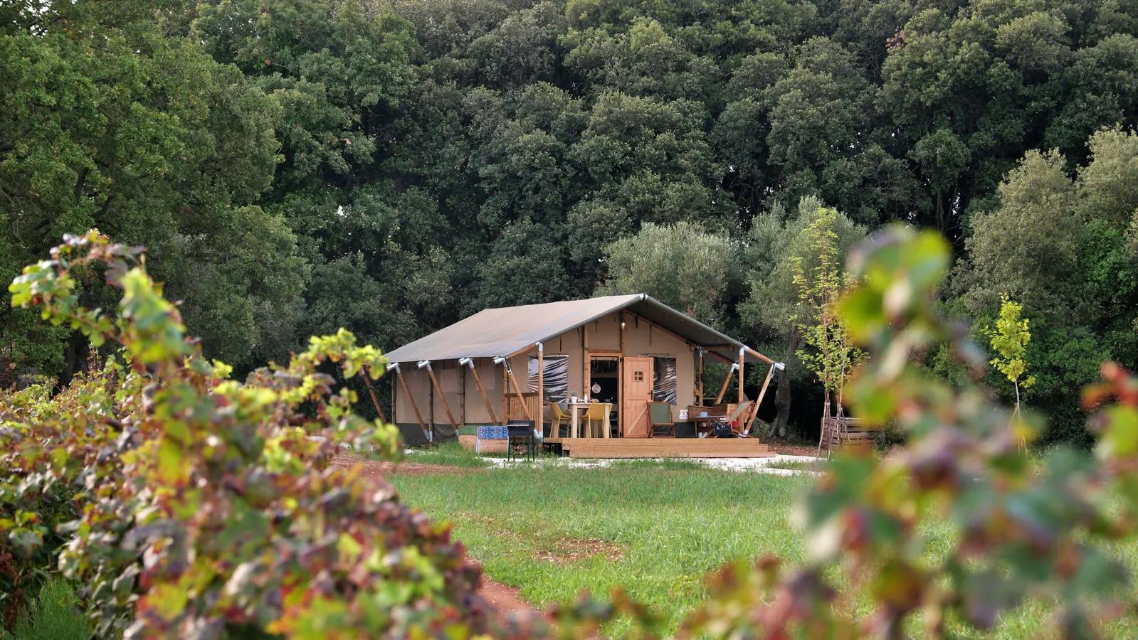 Il lodge e la veranda visti attraverso le foglie dei filari in primo piano