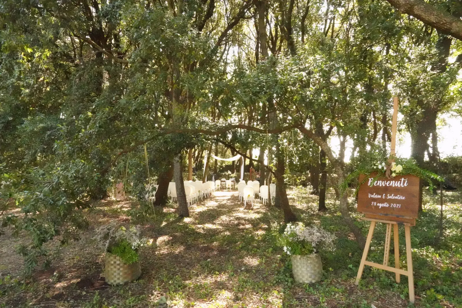 Il percorso del rito nel bosco di Antimo