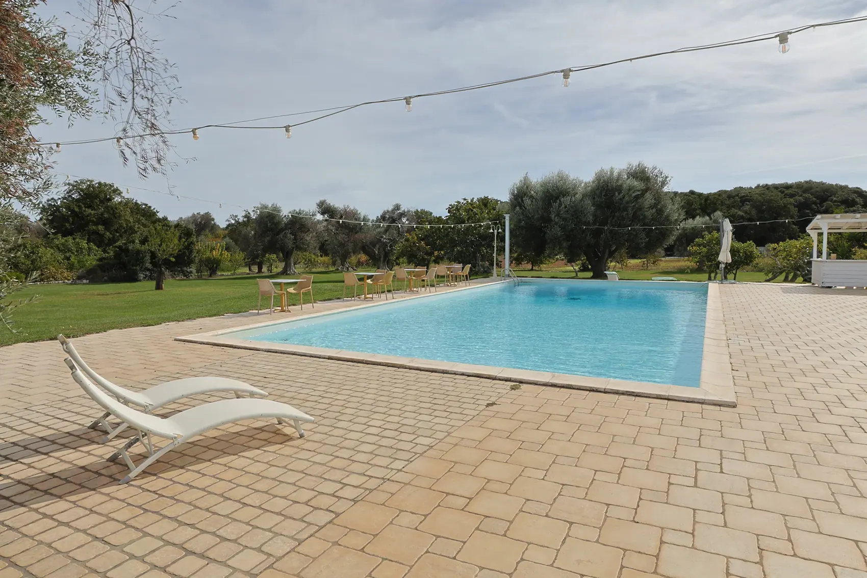 La piscina tra gli ulivi