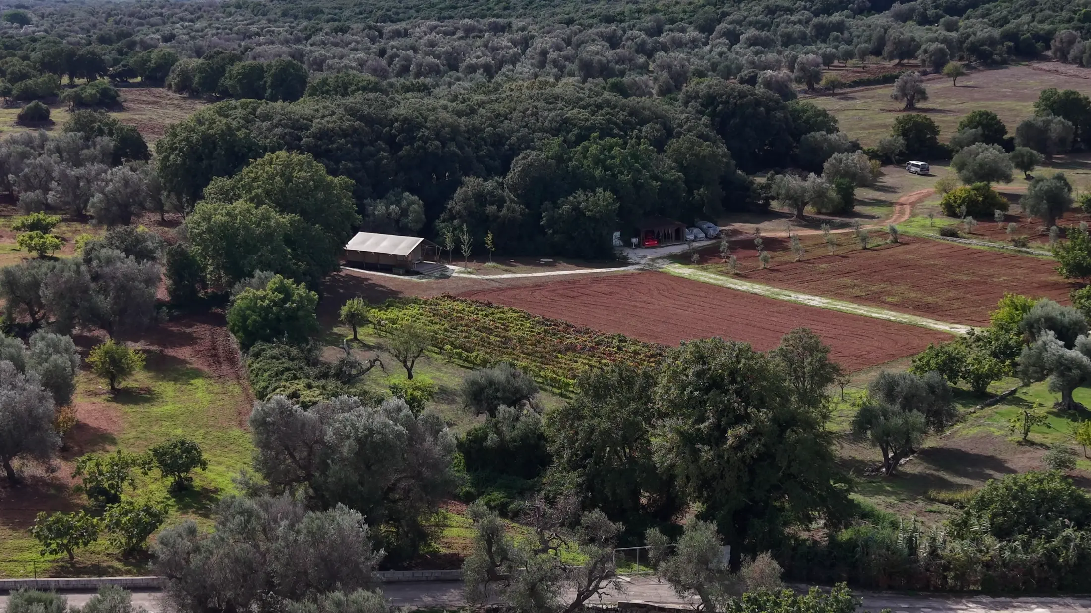 Vista aerea dei terreni coltivati, dei filari e del lodge sul margine del bosco